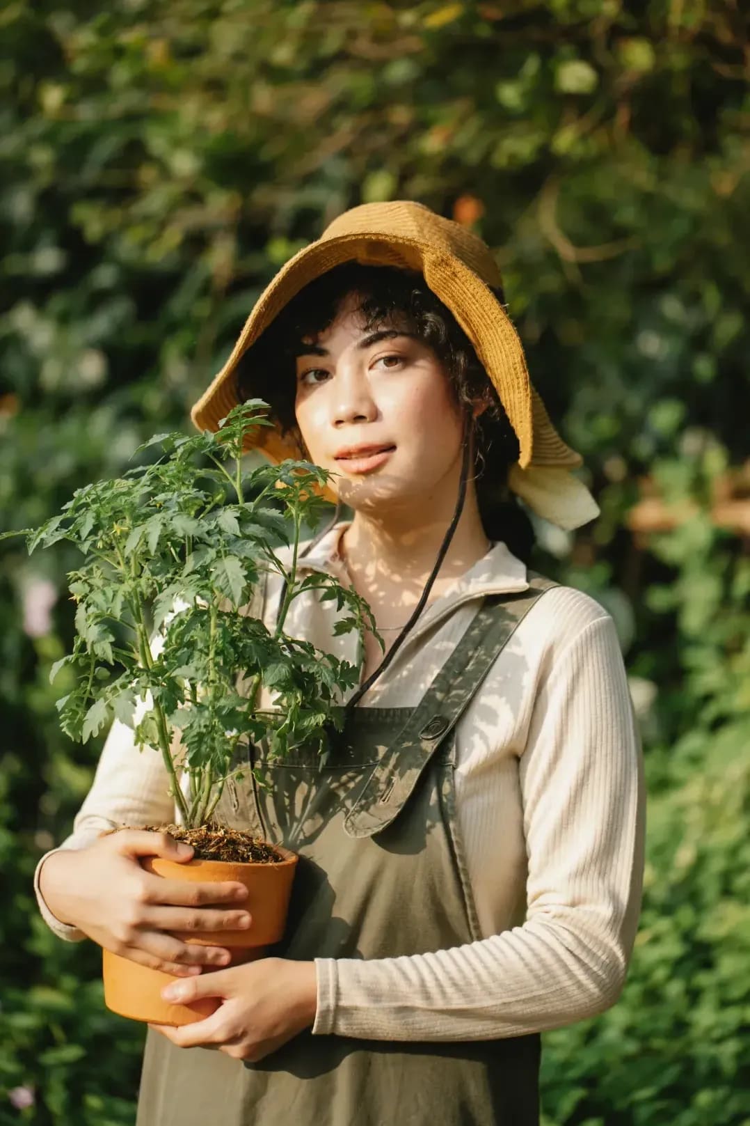 Midori Garden 13