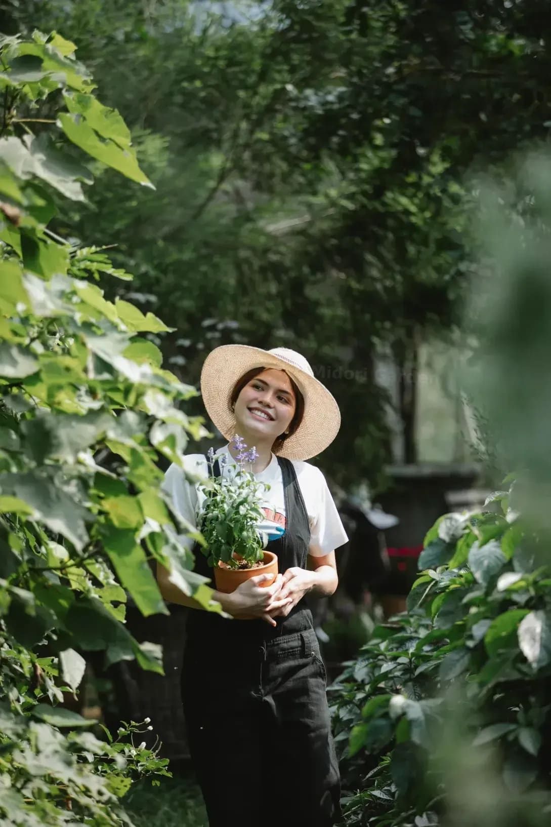 Midori Garden 6